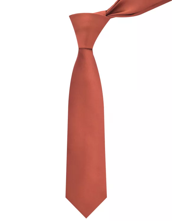 Maroon Texture Tie