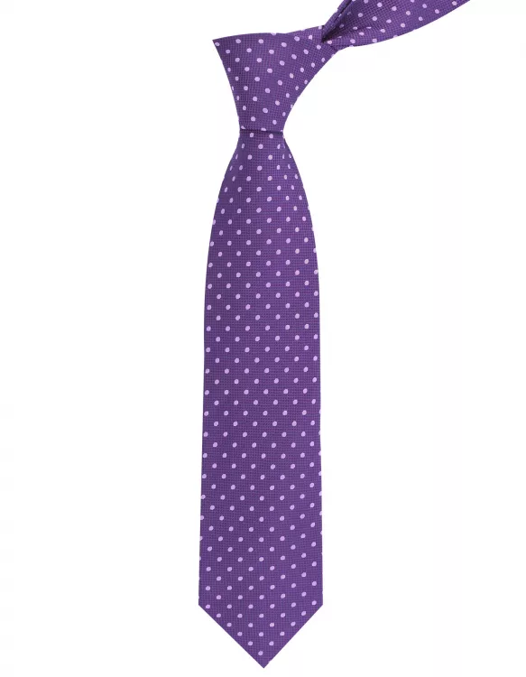 Purple Dotted Tie