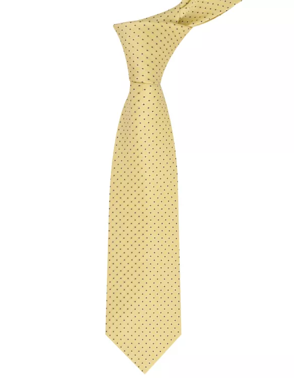 Golden Dotted Tie