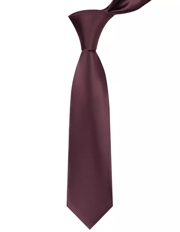Chocolate Plain Tie