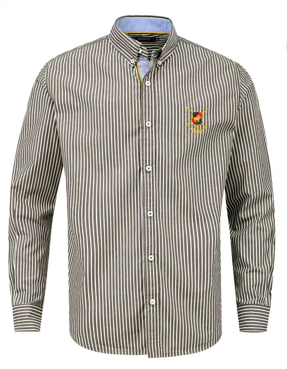 Brown/White Stripe Casual Shirt