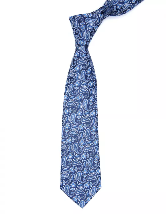 Blue Paisley Regular Tie
