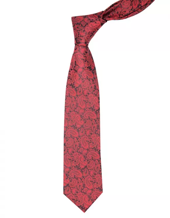 Maroon Paisley Tie