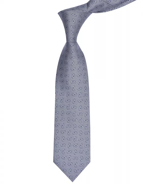 Blue/Navy Paisley Tie