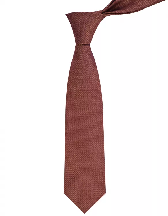 Rust Plain Tie