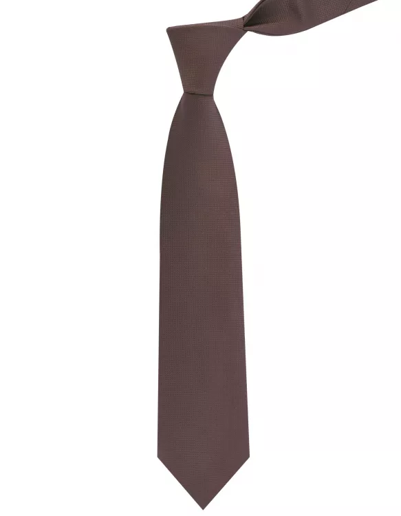 Brown Plain Tie